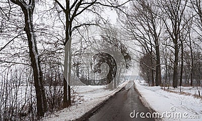 Quiet asphalt road in a wintry snow landscape Stock Photo