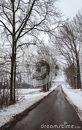 Quiet asphalt road in a wintry snow landscape Stock Photo