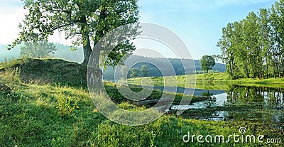Quiet backwater of river on the background of forest slope. Stock Photo
