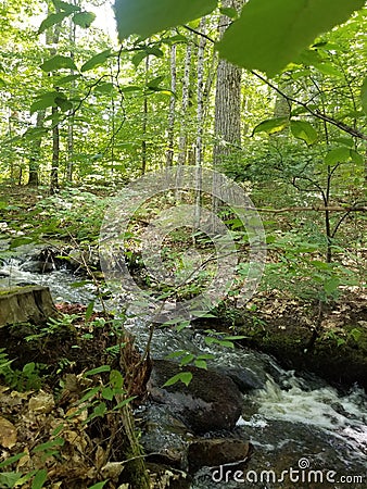 Quiet faery stream Stock Photo