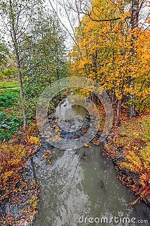 Quiet forest river at autumn Stock Photo