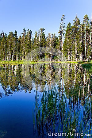 Quiet round lake. USA Stock Photo