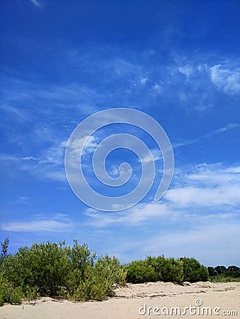 Quiet lakeside in spring Stock Photo