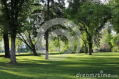 Quiet park at Prince George Editorial Stock Photo