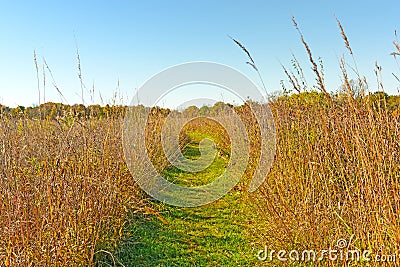 Quiet Path in to the Prairie Stock Photo