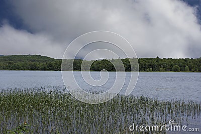 Quiet reflecton spot on New Hampshire pond Stock Photo