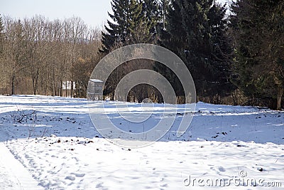 A quiet, snowy path in the middle of a forest Stock Photo