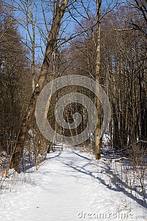 A quiet, snowy path on a sunny day Stock Photo
