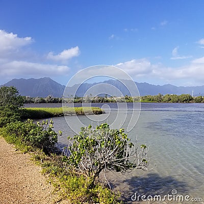 A Quiet Trail at Bird & Fish Santuary Hawaii Stock Photo