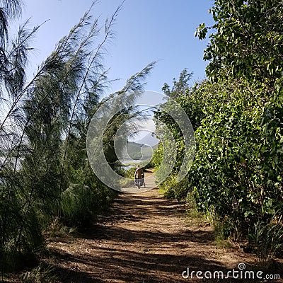 A Quiet Trail at Bird & Fish Santuary Hawaii Stock Photo