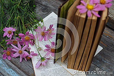 A quiet weekend in the country Stock Photo