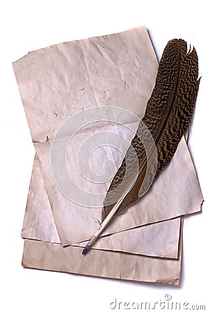 Quill Stock Photo