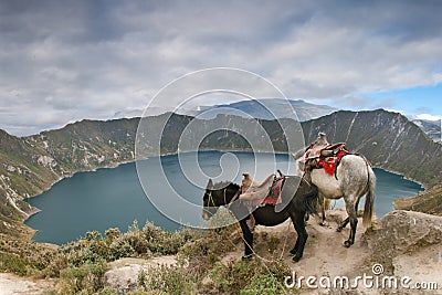 Quilotoa crater lake Stock Photo