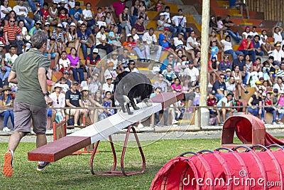 Quimbaya, Quindio / Colombia. July 21, 2017. Panaca an Agricultural Theme Park that fosters the interactivity of man with nature a Editorial Stock Photo