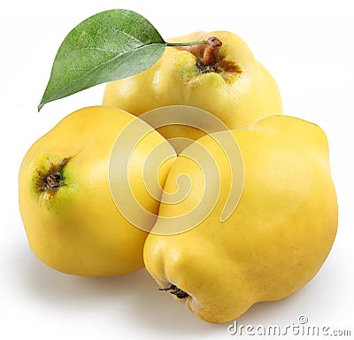 Quince Stock Photo