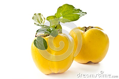 Quince Stock Photo