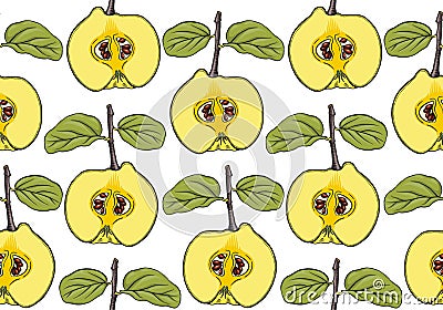 Quince apple fruit, seamless pattern. Drawing of half of ripe raw quince with leaves Stock Photo