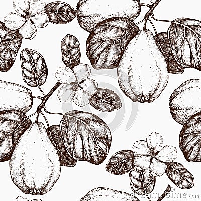 Vector seamless pattern with hand drawn quince tree. Hand drawn illustration. Engraved fruit background. Vintage design. Cartoon Illustration