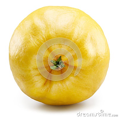 Quince bottom view isolated on white background. File contains clipping path Stock Photo