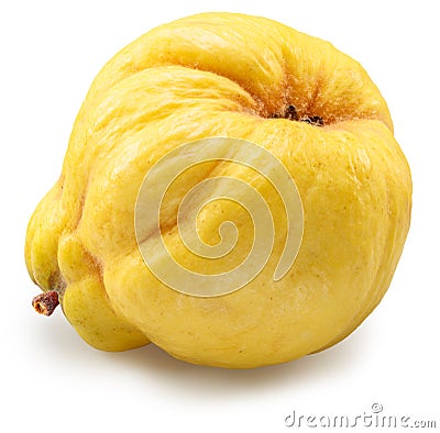 Quince bottom view isolated on white background. File contains clipping path Stock Photo