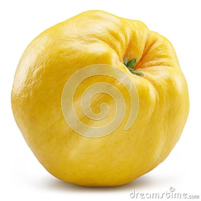 Quince bottom view isolated on white background. File contains clipping path Stock Photo