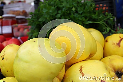 Quince. Fresh organic yellow quince background. Fruits pattern. Quince wallpaper. Healthy eating concept. Stock Photo