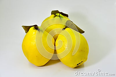 Quince is a hard fruit Stock Photo