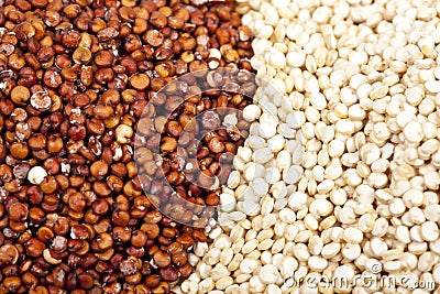 Quinoa Stock Photo