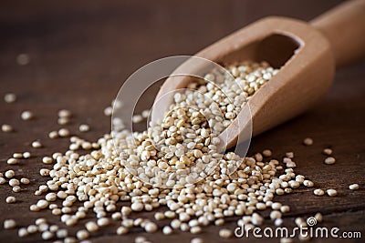 Quinoa Stock Photo