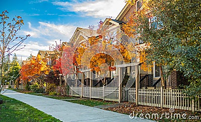 Quite and colorful sidewalk at residential area. Beautiful fall foliage and row of single-family houses. Beautiful fall Stock Photo