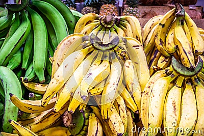Quito, Ecuador - Cooking Bananas Plantain at a Market Stock Photo