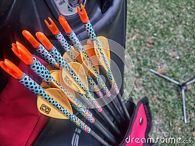 A quiver of arrows with yellow feathers Editorial Stock Photo