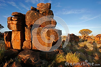 Quiver tree landscape Stock Photo