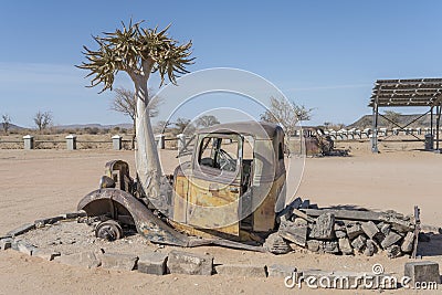 Quiver tree and vintage pickup body worn down by rust in exibition at Canyon Roadhouse, Namibia Stock Photo