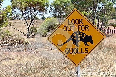 Quolls warning road sign, South Australia Stock Photo