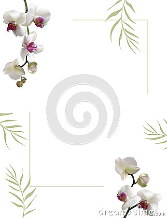 White orchids. Tropical flowers. Tropical background. Petals. Floral background. Palm leaves. Vector Illustration