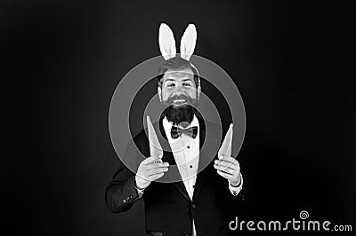 Rabbit bringing Easter carrots. Easter rabbit black background. Bearded man hold carrots. Happy businessman wear rabbit Stock Photo