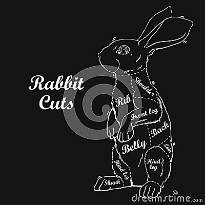 Rabbit butcher cuts diagram Vector Illustration