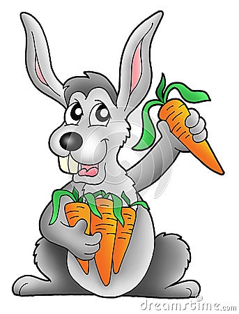 Rabbit with carrot Cartoon Illustration