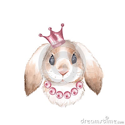 Rabbit and crown Cartoon Illustration