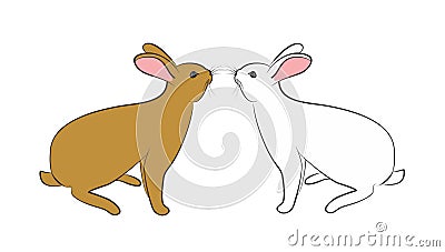 Rabbit Vector Illustration