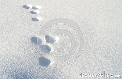 Rabbit footprints in snow Stock Photo