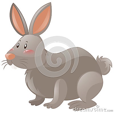 Rabbit with gray fur Vector Illustration