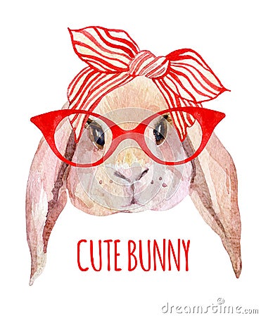 Rabbit head in glasses Stock Photo