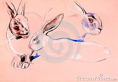 Rabbit painting Stock Photo