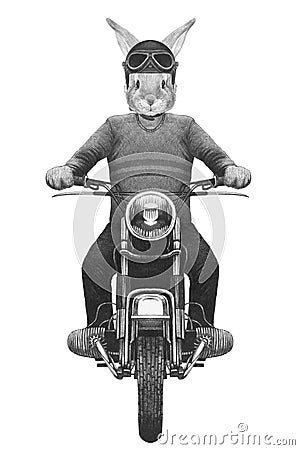 Rabbit rides motorcycle, hand-drawn illustration Cartoon Illustration