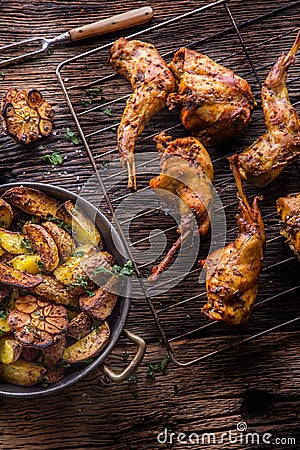 Rabbit. Roasted rabbit slices with american potatoes garlic spices salt,pepper cumin and draft beer. Hunting cuisine Stock Photo