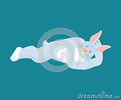 Rabbit sleeping. Hare asleep emotions. Animal dormant. Vector il Vector Illustration