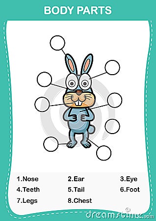 Rabbit vocabulary part of body,Write the correct numbers of body parts Vector Illustration