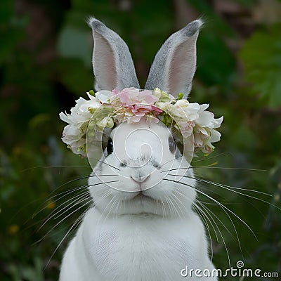 Rabbit wears flower wreath exuding charm and loveliness Stock Photo